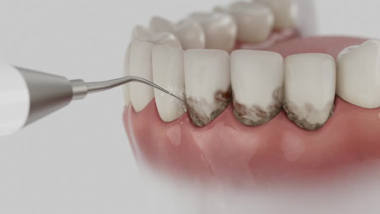 Reliable Dental contractor in Baraboo, WI by Dentist Open Now